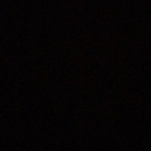 Meet your Posher, Elena